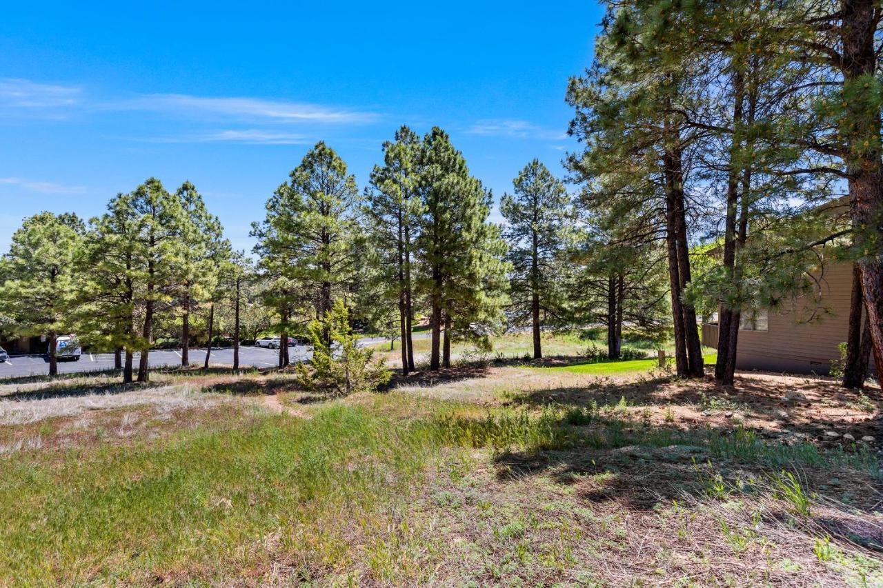 깃대 Delightful 1 Bdrm Country Club Retreat With Mt Elden Views! 빌라 외부 사진